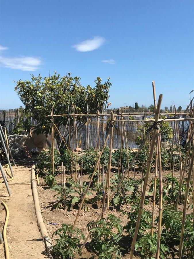Caseta Del Chato Deltebre Eksteriør billede